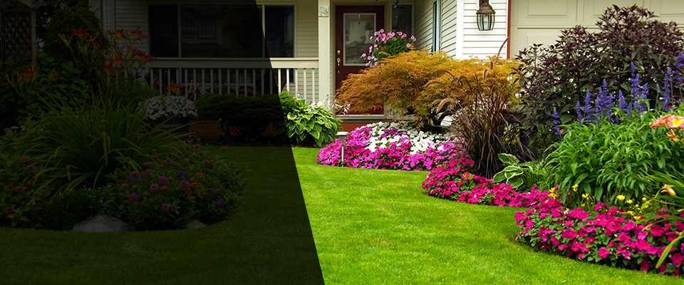 Jacksboro Landscapers