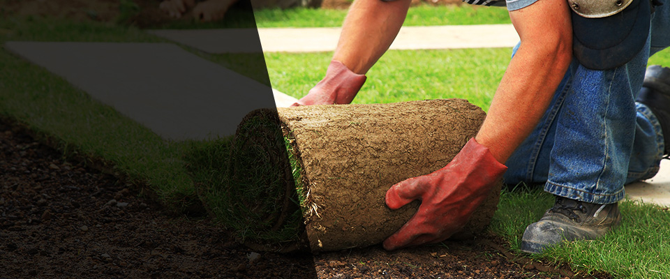 Jacksboro Landscapers